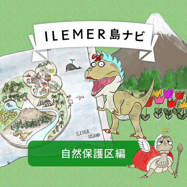 ※ILEMER ISLAND 自然保護区