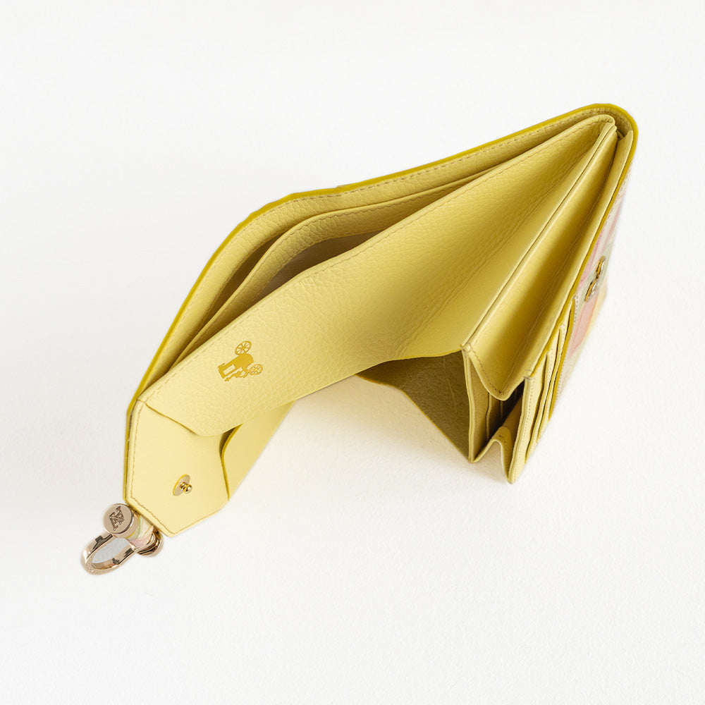 【ATAO20周年限定カラー 】キャンディーミックス｜ブロックパーティ｜Rotolo